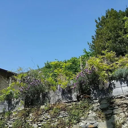 Holiday In I * Ortonovo